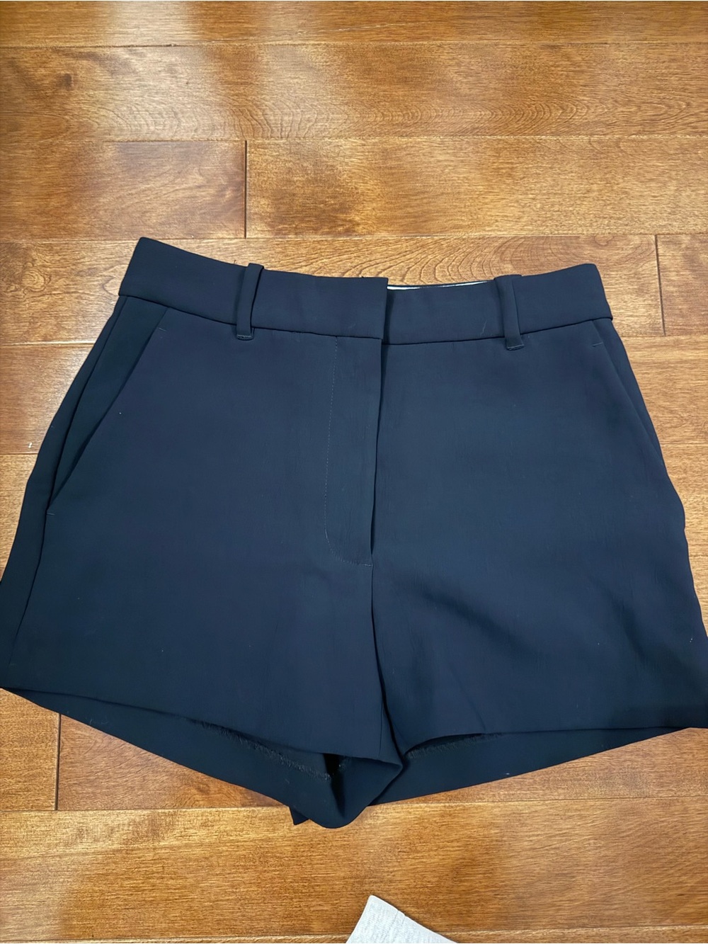 Aritzia Agency Shorts